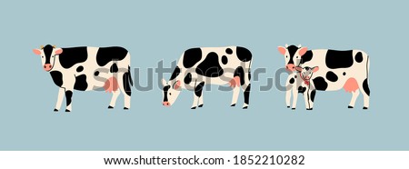 Set of three various cute Cows. Black and white colors. Hand drawn colored trendy Vector illustrations. Funny characters. Cartoon style. Isolated on blue background