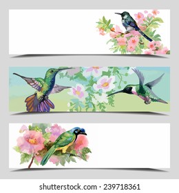 Set of three vector banners, Birds cards with a field for text, full image under mask, vector illustration