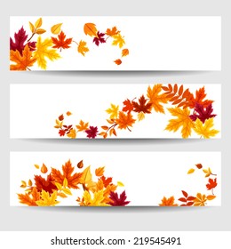 Set of three vector banners with colorful autumn leaves.