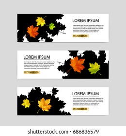Set of three vector banners with colorful maple autumn leaves