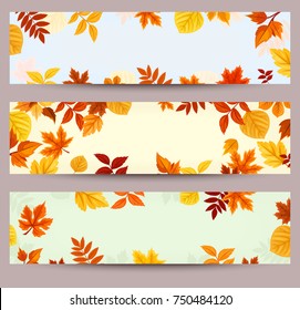 Set of three vector banners with colorful autumn leaves.