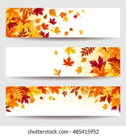 Set of three vector banners with red, orange, brown, purple and yellow autumn leaves.