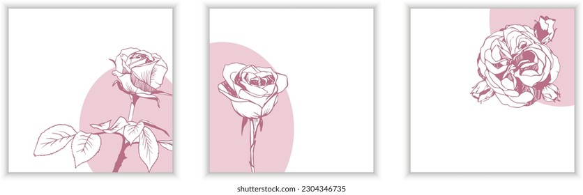 Set of three vector greeting card templates with minimalistic design and lineart roses on white