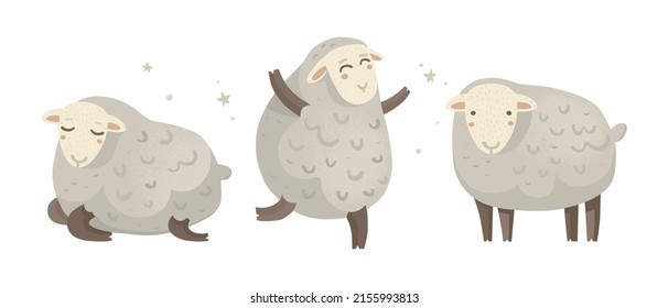 Set of three vector illustrations, bundle. Hand-drawn funny lambs with fluffy fur. White background and stars. Cartoon characters, design for nursery, artwork, poster. Print for baby clothes.
