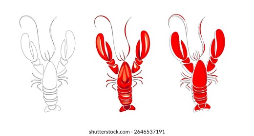 Set of three vector lobster illustrations: outline, flat color, and stylized version. Suitable for seafood design, menus, or culinary branding