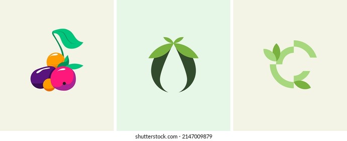 A set of three vector logos a bunch of fruits and vegetables with leaves, olive oil, letter O and C. Vector illustration