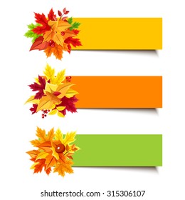 Set of three vector orange, yellow and green banners with colorful autumn leaves.