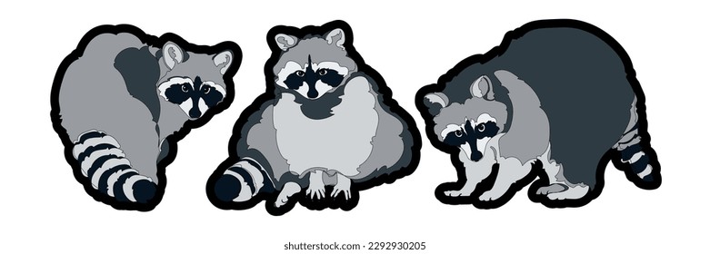 Set of three vector raccoons isolated on white background.