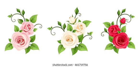 Set of three vector red, pink and white roses branches isolated on a white background.