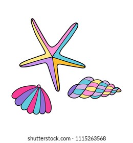 Set of three vector sea shell illustrations.