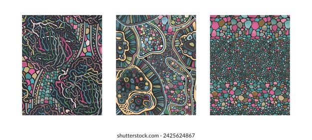 Set of three vector seamless colorful abstract organic patterns. Abstract backgrounds in biological style. Macro image, plants, magnified under a microscope