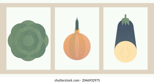 Set of three vegetable illustrations. Geometric balance posters with culinary ingredients. Vegan and vegetarian décor for home, kitchen, advertising. Backgrounds with cabbage, onion, eggplant.