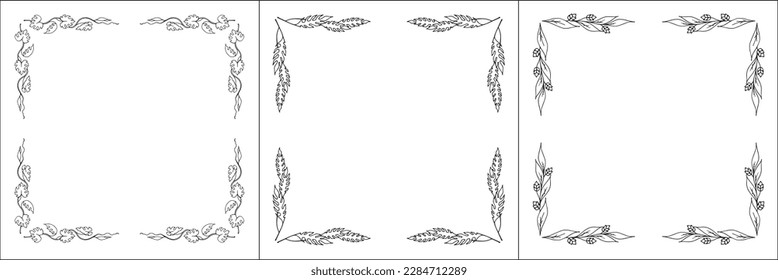 Set of three vegetal vector frames. Elegant black and white monochrome ornamental border for greeting cards, banners, invitations. Vector frame for all sizes and formats. Isolated vector illustration.