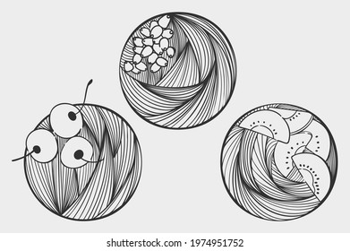 Set of three vegetarian, vegan illustrations in a circle with thin lines. Summer fruits and berries. Healthy eating. Aesthetic monochrome background with pomegranate, cherry, kiwi.