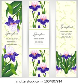 Set of three vertical banners. Iris flowers and dragonflies on backdrop.