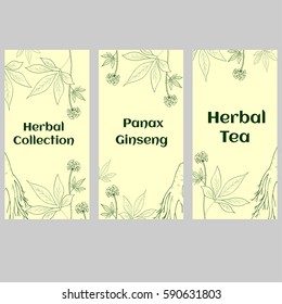 Set of three vertical banners, labels with herbs and ginseng root, on white background, sketch style. Hand draw vintage illustration of medicinal plants. For traditional medicine, gardening.