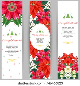 Set of three vertical banners. Pattern with poinsettia flowers, holly and hellebore. Winter ornament. Place for your text