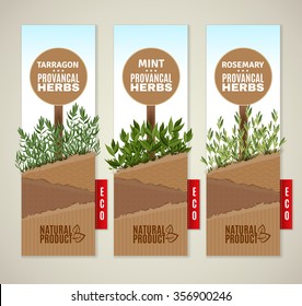 The set of three vertical banners with Provencal herbs. Herbs de Provence banners. Vector banners