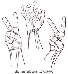 Set of Three Victory and O.K. Symbol Hands. Vector Illustration