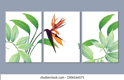 Conjunto de tres pinturas murales, lienzo para el salón. Cartel para el diseño interior de un comedor, dormitorio, oficina. Fondo tropical de verano con flores estrelitzia y hojas verdes.  