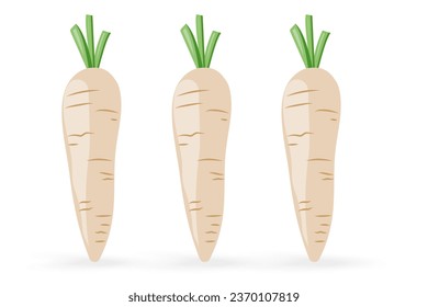 Set of three white carrots icon isolated on white background vector illustration