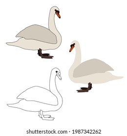 Conjunto de tres cisnes blancos de color y un contorno para colorear con ojos de dibujos animados