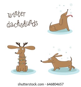 Set of three winter dachshunds participating in seasonal activities for each month: catching snowflakes, wearing Christmas mistletoe and reindeer horns, skating on ice. Vector illustration.