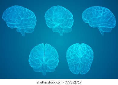 set three-dimensional vector cyber brain. neural network mega-data processing, template interface design on blue background.