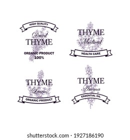 Set of thyme logo with hand drawn elements. Vector illustration in sketch style isolated on white background