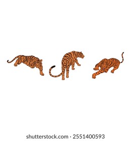 set of Tiger animal flat vector illustration on white background