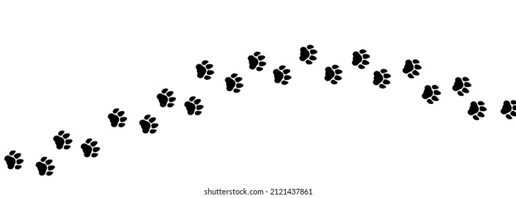 Set of tiger or cat footprints. Paw prints. A line of footprints. Vector template. Illustration isolated on white background.