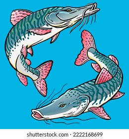 Set of Tiger Catfish for premium pack