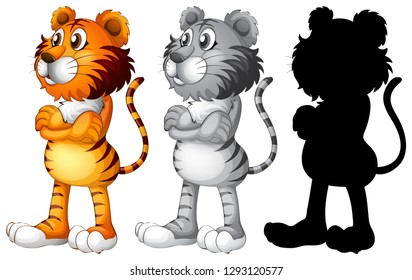 Set of tiger character illustration