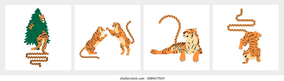 Set of tiger in the Chinese calendar. Postcard or cover. Vector illustration