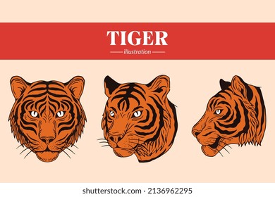 Set Tiger face wild poses isolated cartoon illustration