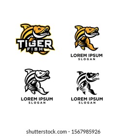 set of tiger fish logo icon design vector illustration