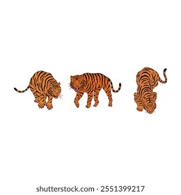 Set of Tiger Flat Vector Illustrations on White Background – High-Quality Digital Artwork