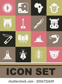 Set Tiger head, Snake, Rhinoceros, Map of Africa, Arrow, Bear, Compass and Machete icon. Vector