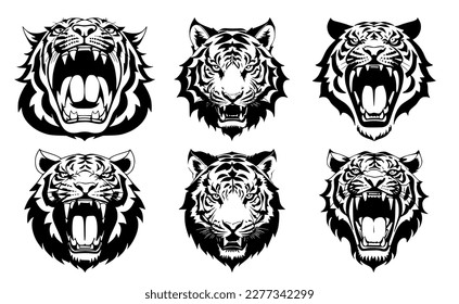 Set of tiger heads with open mouth and bared fangs, with different angry expressions of the muzzle. Symbols for tattoo, emblem or logo, isolated on a white background.