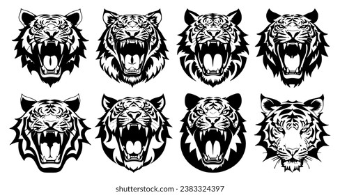 Conjunto de cabezas de tigre con boca abierta y colmillos de paja, con diferentes expresiones enfadadas del bozal. Símbolos para tatuajes, emblemas o logos, aislados en un fondo blanco.