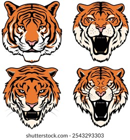 Set of tiger illustration. Tiger head vector	
