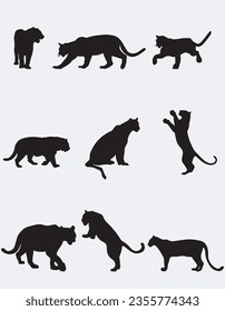 Set of Tiger Silhouettes. Vector