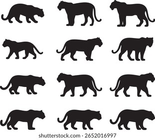 Set of Tiger Silhouettes - Vector Animal Graphics Collection