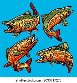 Set of Tiger trout fish for gamefish bundle collection