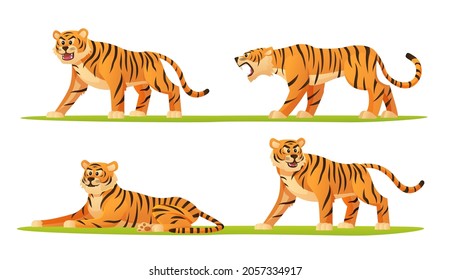 Set of tiger in various poses cartoon illustration