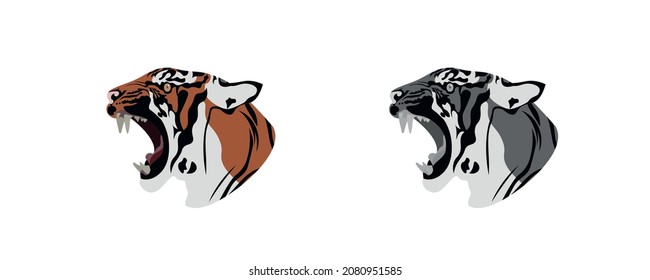 Set tiger vector set , vector graphic to design.