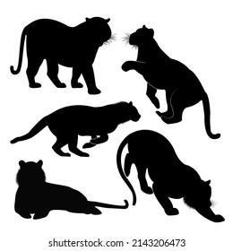 A set of tiger vector silhouettes isolated on a white background.
