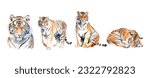 Set of tiger watercolor isolated on white background. Vector illustration