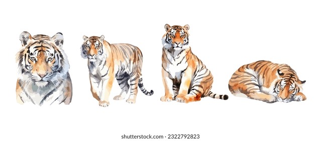Set of tiger watercolor isolated on white background. Vector illustration