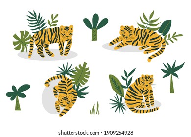 Set of tigers in different poses. Cartoon vector illustration in flat style